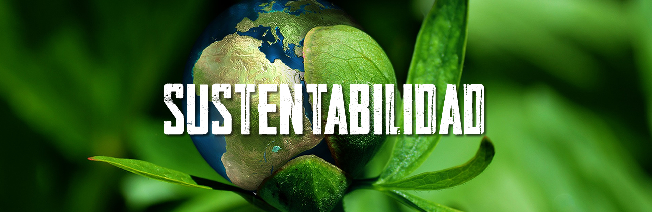 sustentabilidad_blizzard_producciones Sustentabilidad, Blizzard producciones